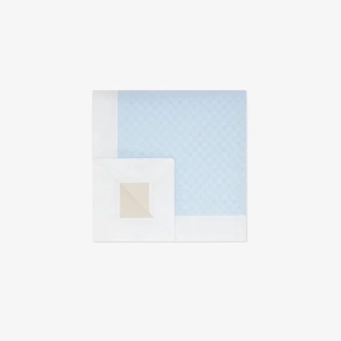 Kids Light Blue Jersey Baby Blanket With Quilted Micro Ff Logo Fendi Baby Boy