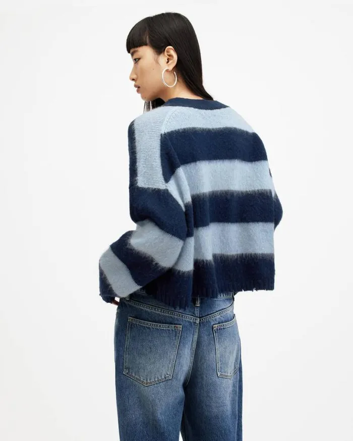 Lou Striped Croppy VNeck Sweater Indigopale Blue Women AllSaints Sweaters