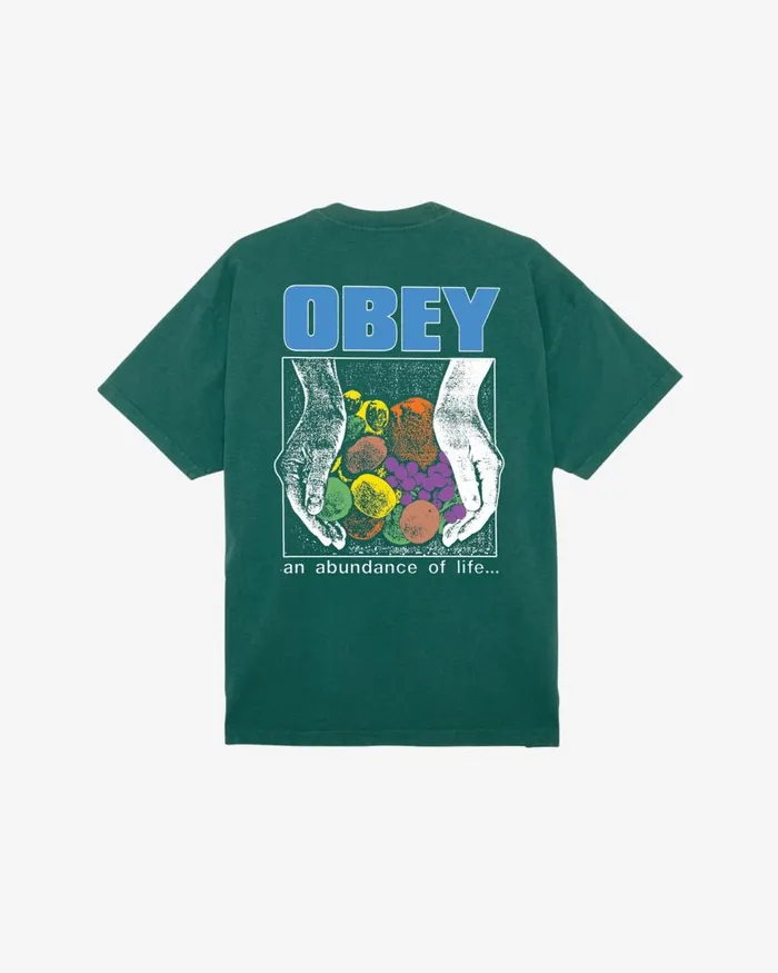 Men AN ABUNDANCE OF LIFE HEAVYWEIGHT TSHIRT White OBEY Clothing TSHIRTS