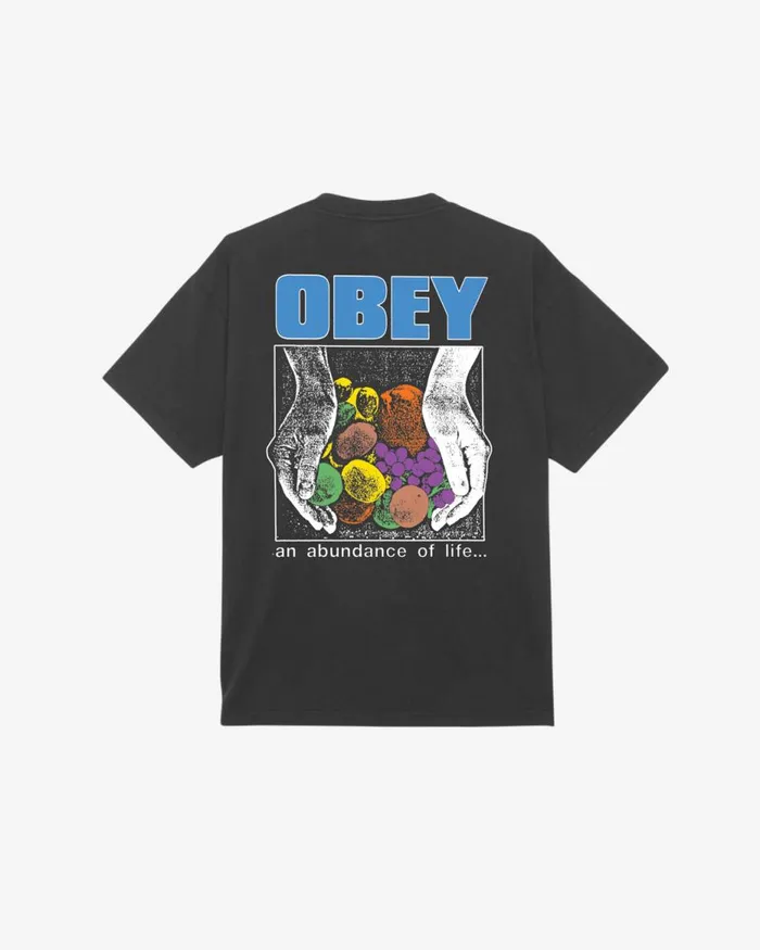 Men AN ABUNDANCE OF LIFE HEAVYWEIGHT TSHIRT White OBEY Clothing TSHIRTS