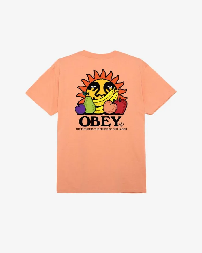 Men THE FUTURE IS THE FUITS OF OUR LABOR CLASSIC TSHIRT White OBEY Clothing TSHIRTS