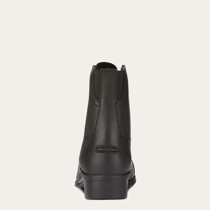 Scout Paddock Boot Black Women Ariat English Riding Boots