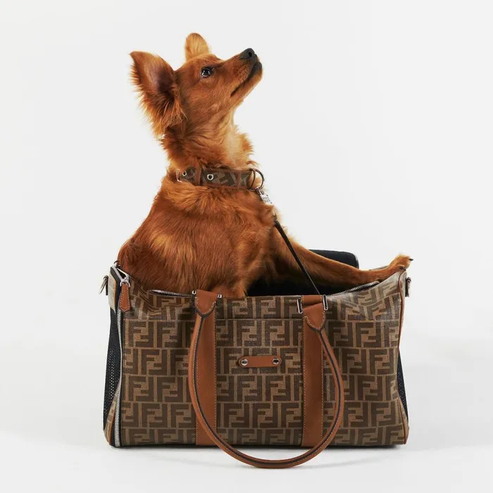 WomanMan Brown Fabric Dog Carrier Brown Fendi Pet Accessories