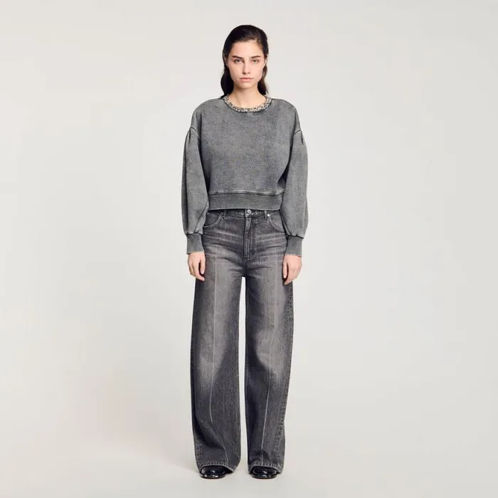 Women Sweaters and Cardigans SANDRO Jewellery Neck Sweatshirt Grey