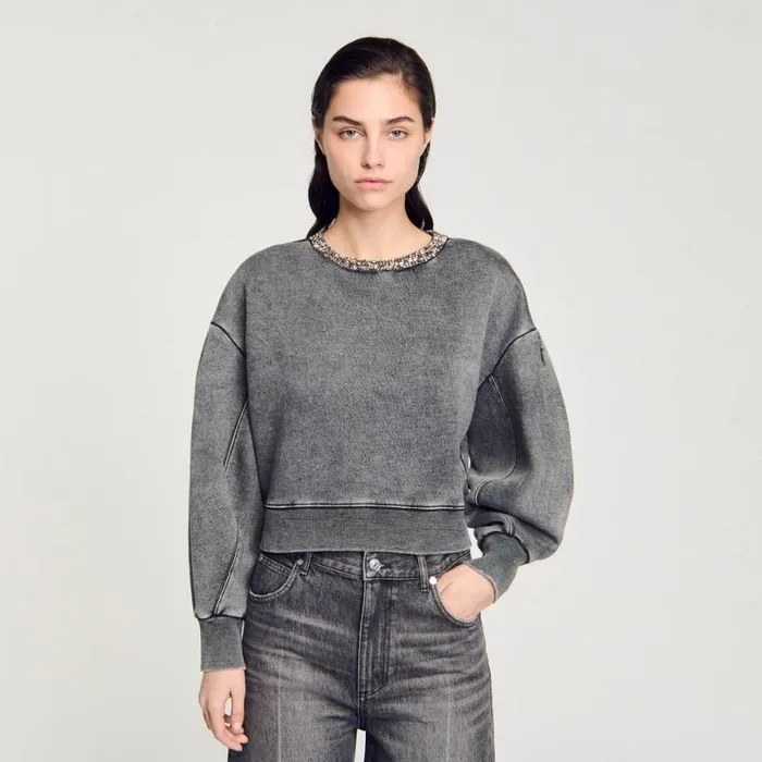 Women Sweaters and Cardigans SANDRO Jewellery Neck Sweatshirt Grey