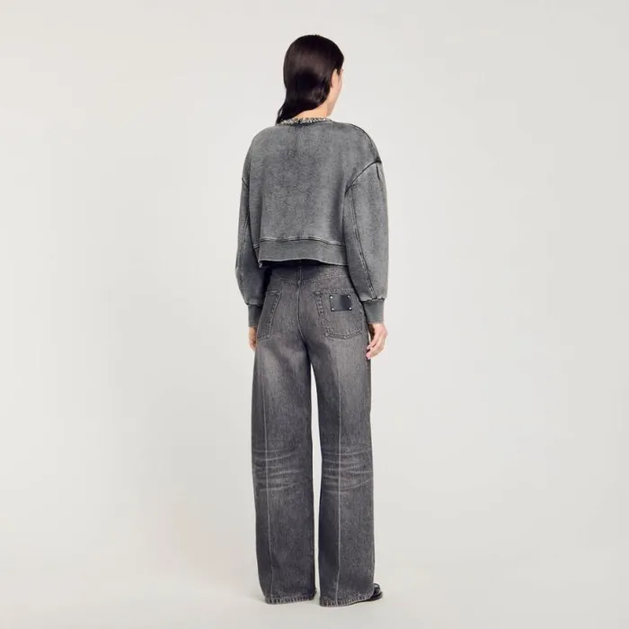 Women Sweaters and Cardigans SANDRO Jewellery Neck Sweatshirt Grey